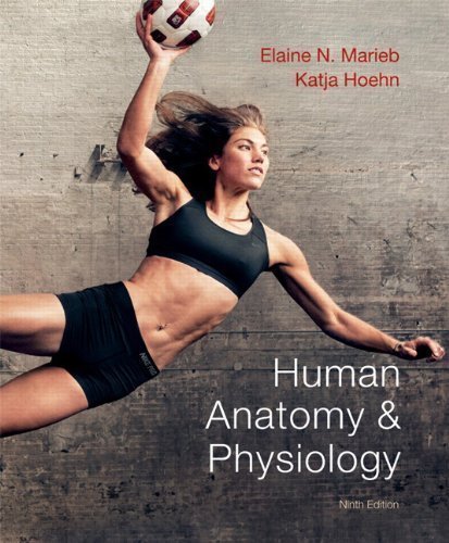 marieb anatomy and physiology website